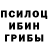 Галлюциногенные грибы Cubensis Lenie Tubera