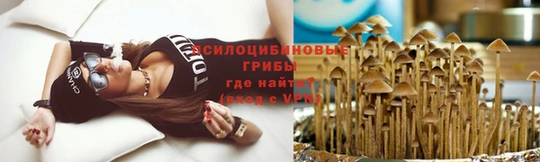 трава Абаза