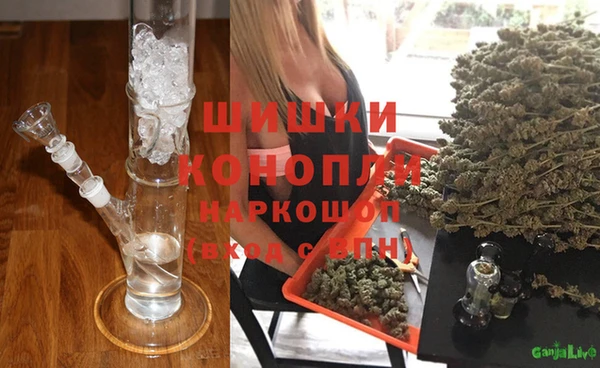 прущие грибы Абдулино