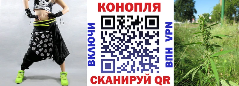 Конопля семена  kraken вход  Кедровый 